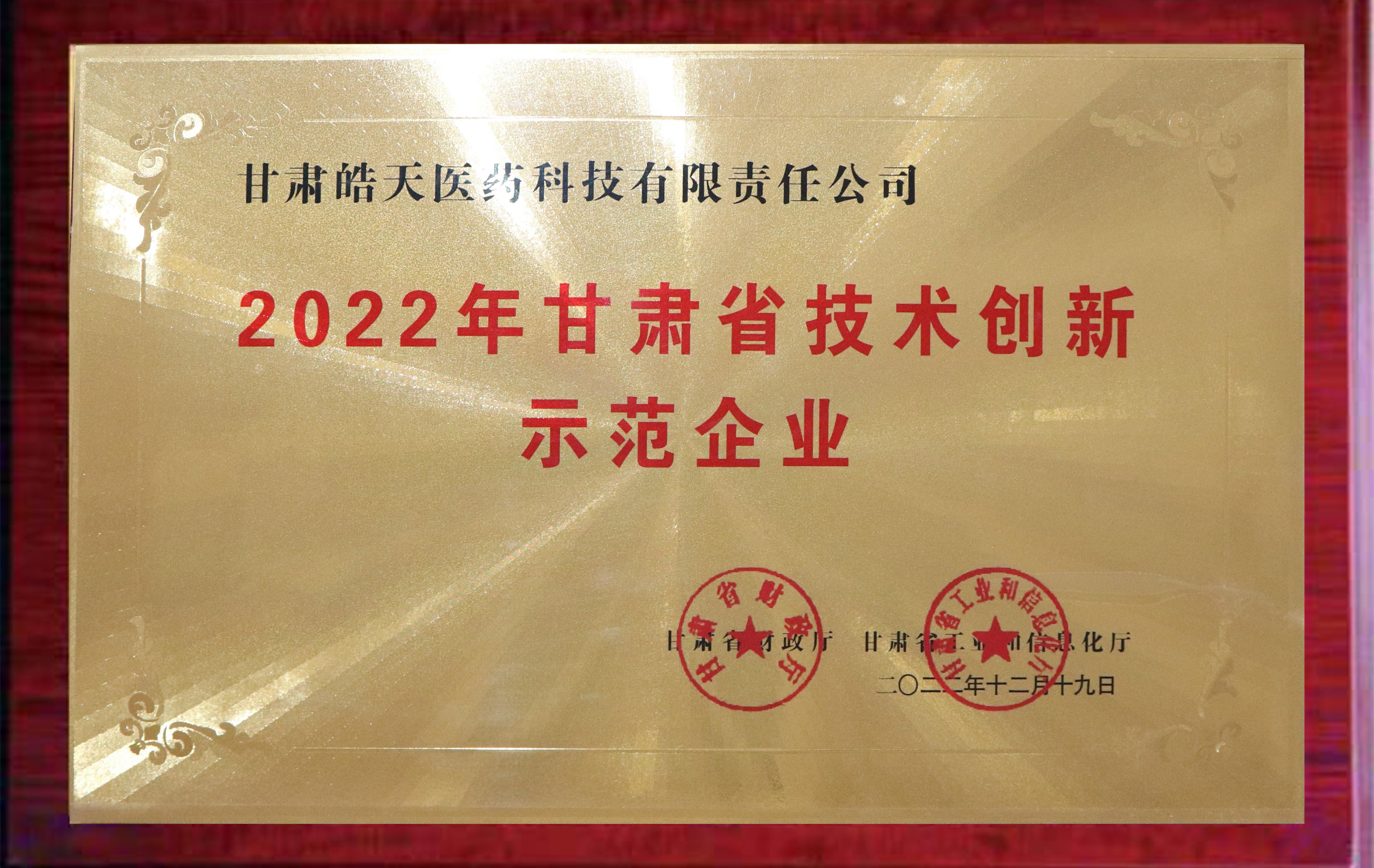 甘肃省手艺立异树模企业